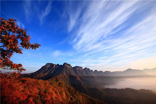 【央視直播回放】霜染滿林紅 光霧山邀您來(lái)“走紅毯”